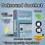 Oeksound Soothe2 for both MacOS and Windows
